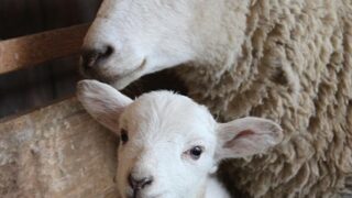 婚活は長期戦　親子で乗り越えるうまくいかない時期の心構え