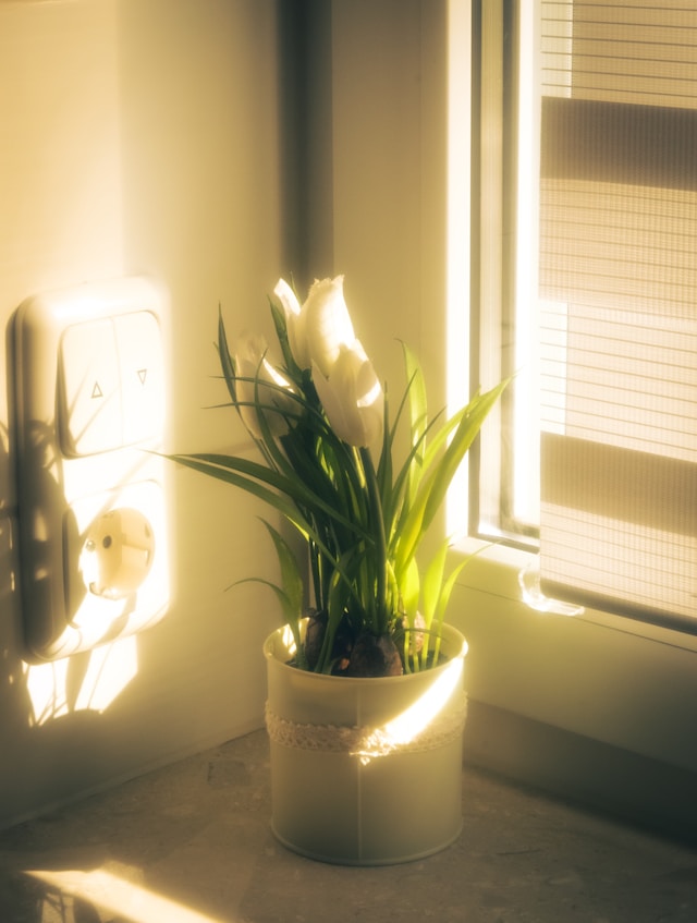 GWに帰省する娘と、本音で笑い合いたいあなたへ。4月から始める『母娘の心の検品』