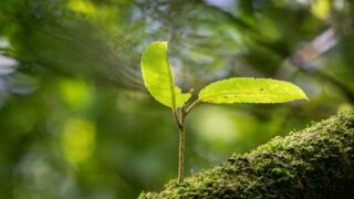 娘さんの未来の幸せを願うお母さまへ「4月からの心の整え方」